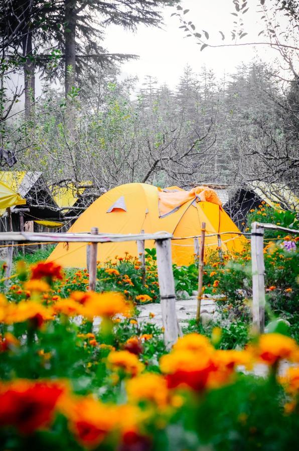 Himtrek Riverside Camps & Hostel Manali Manāli Exterior foto